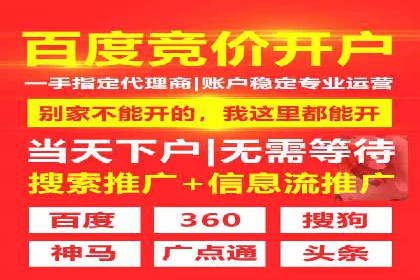 百度SEO推广公司案例分析：成功案例解析